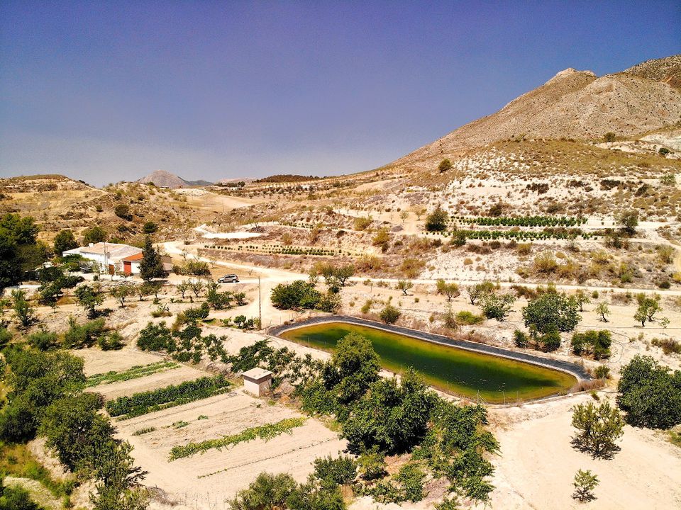 Landejendom i Lorca, Murcia - foto 3